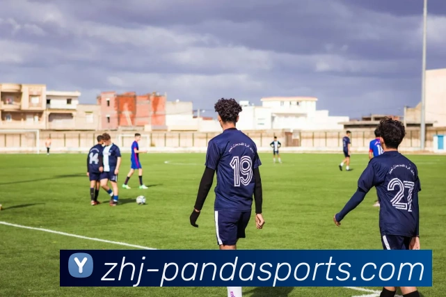 PANDA服务体系